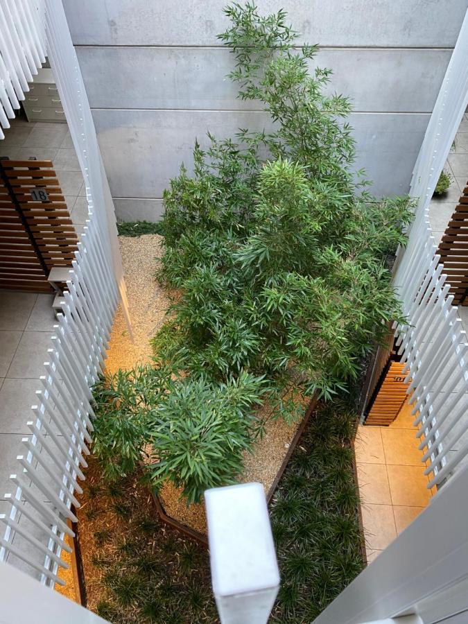 The Gallery Luxe 1 Bedroom Executive Apartment In The Heart Of Braddon Wine Secure Parking Wifi Canberra Bagian luar foto